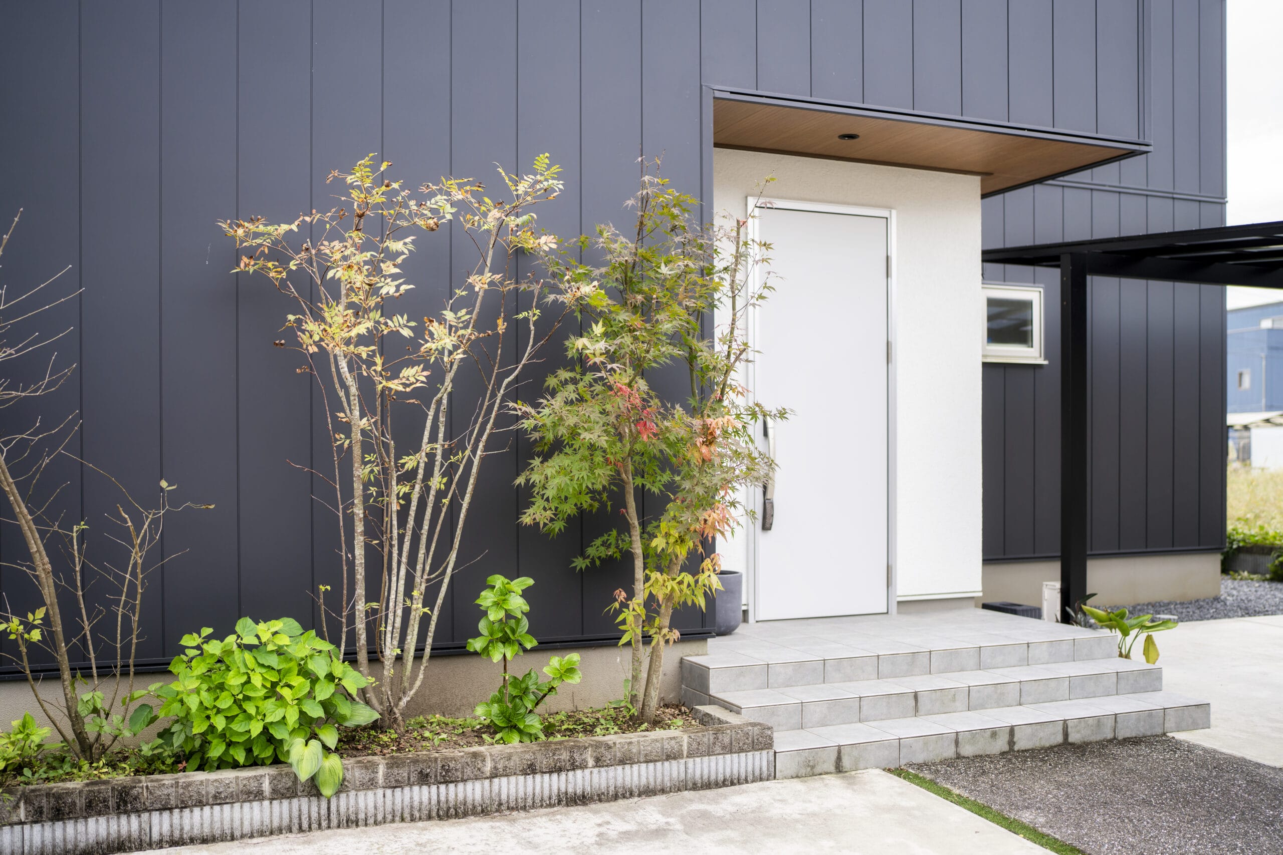 日差しと開放感と住まう