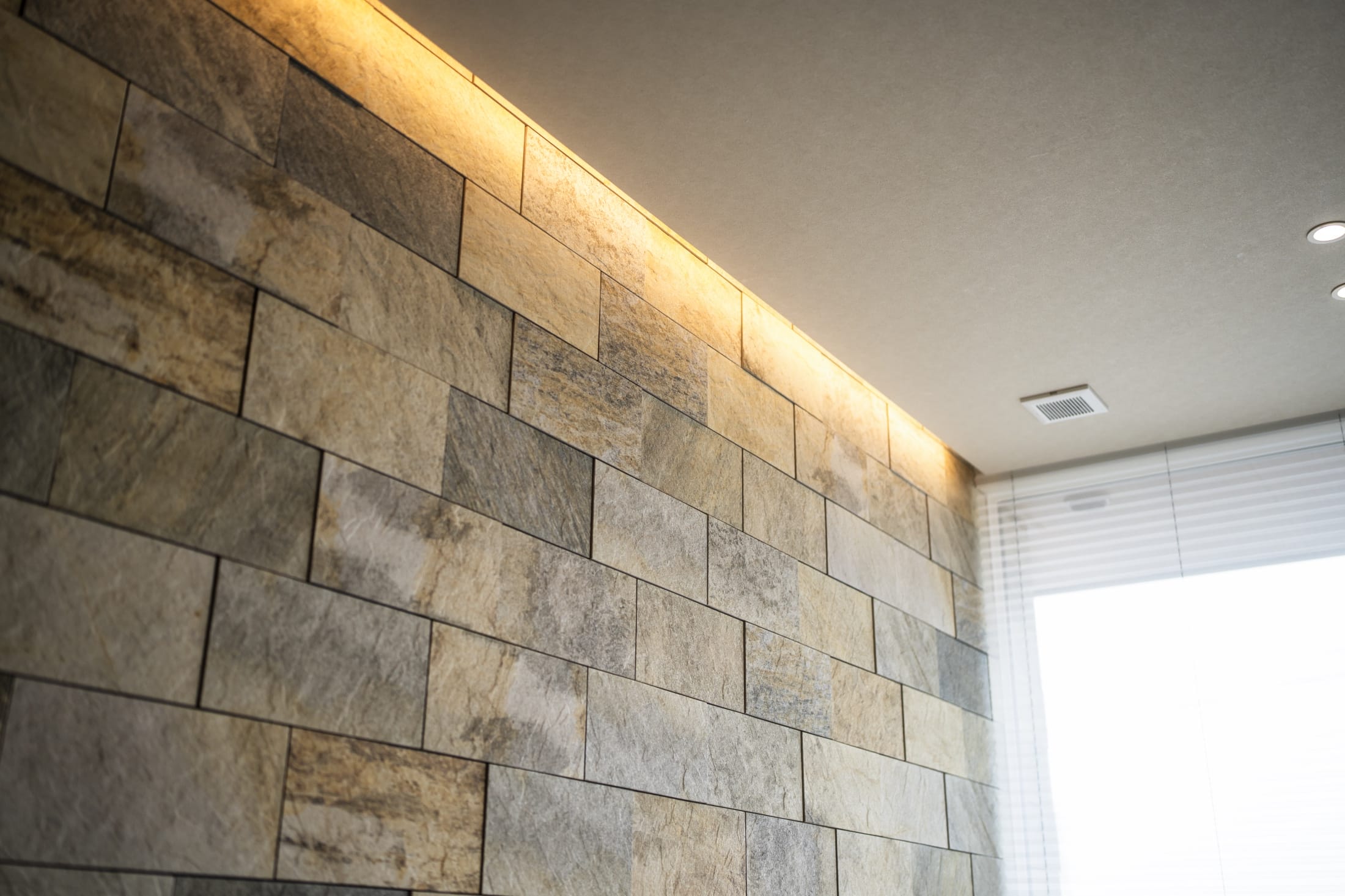 ギャラリー 画像7