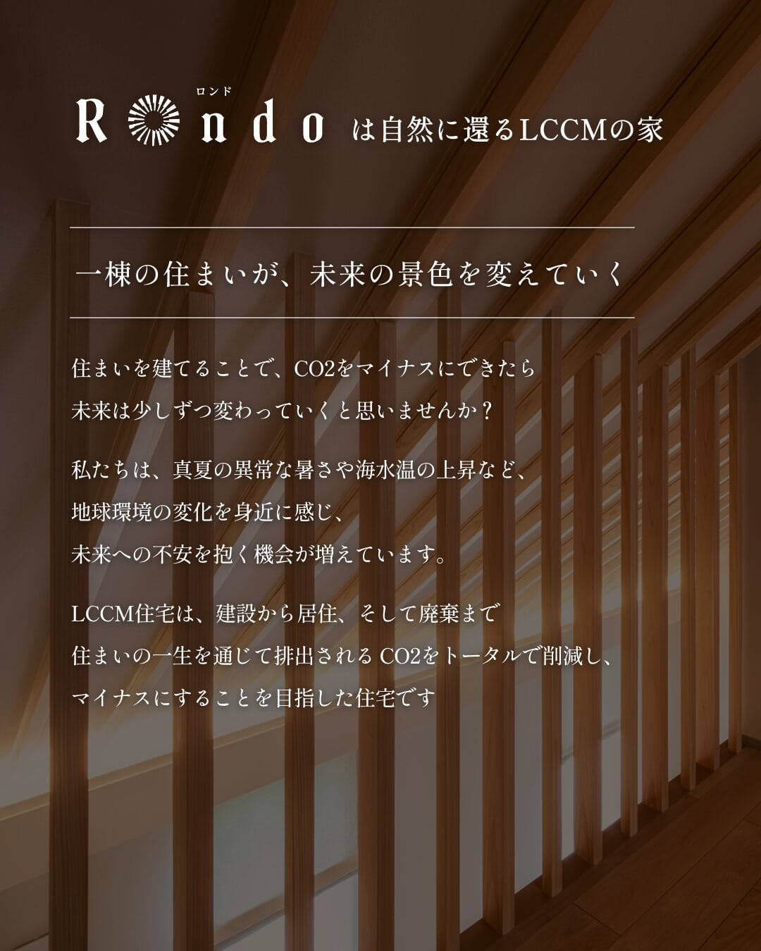 ギャラリー 画像2